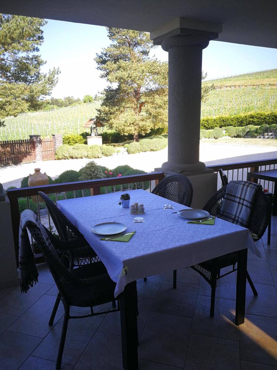 Villa Tolnay Vendeghaz Gyulakeszi Exterior photo